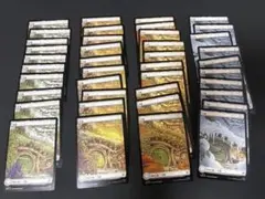 MTG アングルード 平地 沼 APACランド 沼 山 合計12枚セット プロモ MTG アングルード 平地 沼 APACランド 沼 山 合計12枚セット プロモ