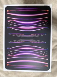 美品 iPad Pro M2 11インチ 128GB Wi-Fiスペースグレー