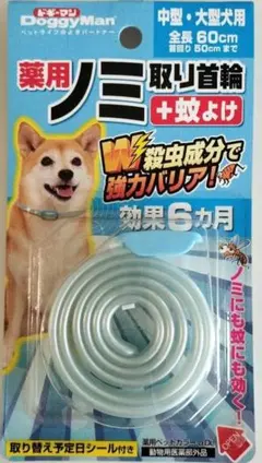 Item thumbnail for item 3d91c5e0-b3db-4af8-b8f6-914ed4d771b8