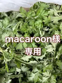 香味・薬味野菜 macaron専用