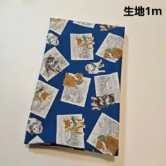 いぬ
