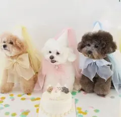 Item thumbnail for item 2ddc2613-5be4-4ec2-8c4c-ef7cec31b035