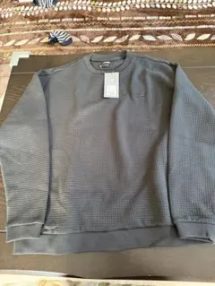 Item thumbnail for item 241f3663-ed7b-4aca-a39a-52ec4f5f730c