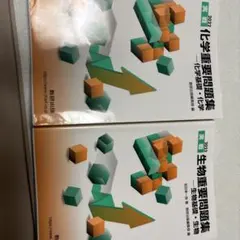 Item thumbnail for item 087c772c-2f3f-43d8-bb2d-7a6424a2c678