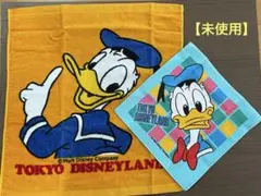 東京ディズニーランド ドナルドダック タオル2枚セット