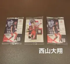 バレーボール　男子日本代表　ウエハース　西山大翔　レア