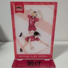 ハイキュー!! 音駒高校 アクリルスタンド アクスタ 黒尾鉄朗 孤爪研磨