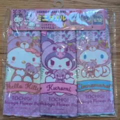 あしかがフラワーパーク　サンリオ　ミニタオル