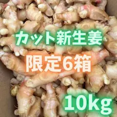 四万十の清流が育んだ新生姜 10kg - メルカリ
