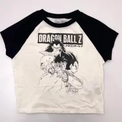 Item thumbnail for item 4751e555-a3bc-4da4-b691-26e72242e26e