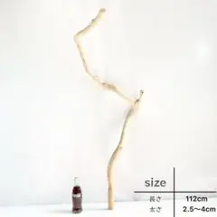 流木 特大 boe0651 棒 素材 1点物 オブジェ レイアウト DIY