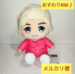 BTS 防弾少年団 おすわり RM ぬいぐるみ タイニータン 友はJIN