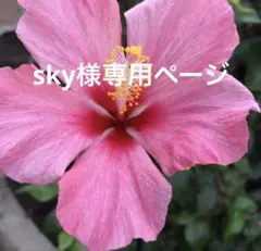 sky様専用ページ