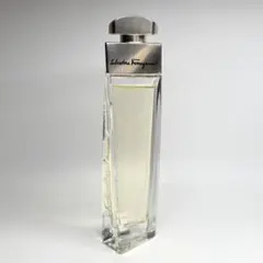 2025年最新】フェラガモプールファムの人気アイテム - メルカリ