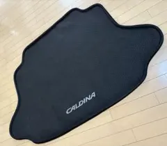 Item thumbnail for item 3afac5a7-7a76-4d30-b272-96470d12099b