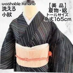 絽の小紋　正絹　美品　トールサイズ 2025年最新】単衣 正絹 トールサイズの人気アイテム - メルカリ