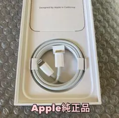 정품 iPhone 번개 케이블 급속 케이블 타입 C