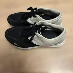 Item thumbnail for item c8101183-6cbf-4527-8c91-de677bf47b30