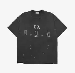 Amplifier 大江慎也 ルースターズ Tシャツ Lサイズ Amplifier 大江慎也 ルースターズ Tシャツ Lサイズ - メルカリ