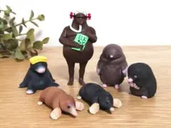 モグラセット
