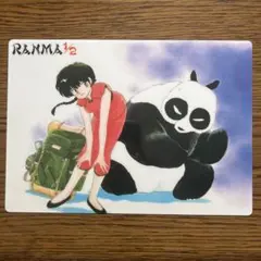 らんま1/2 下敷き 当時物 レア 希少　新品未使用品