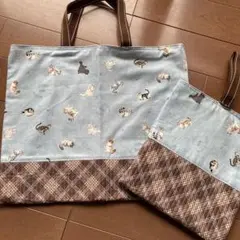 レッスンバッグとシューズケース