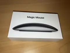 Apple Magic Mouse2 ブラック(Lightning)