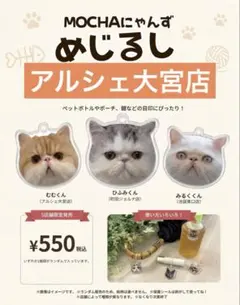 MOCHA にゃんず猫型缶バッジ ららぽーと名古屋みなとアクルス店 - メルカリ