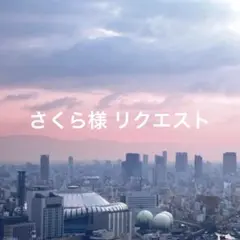 さくら様 リクエスト 13点 まとめ商品