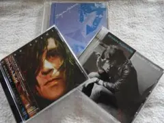 ライアン・アダムス／RYAN ADAMS、イージー・タイガー（2CDセット）