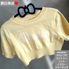 即購入◎　翌日発送　Heather　ニット　カットソー　クロップド丈　フリーのサムネイル