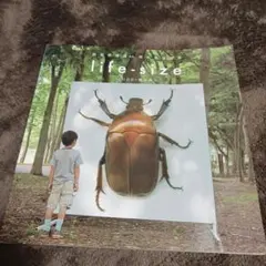life-size 超高解像度人間大昆虫写真 scope+橋本典久