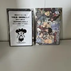 EDENS ZERO vol.1 特別版ブックレット　ポストカード未開封