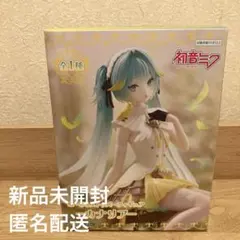 初音ミク ぬーどるストッパーフィギュア カナリア