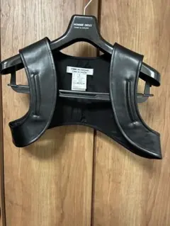 レザービスチェ