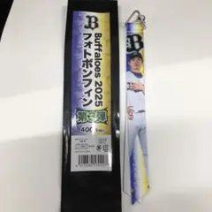 オリックスバファローズ　ボンフィン　山岡投手