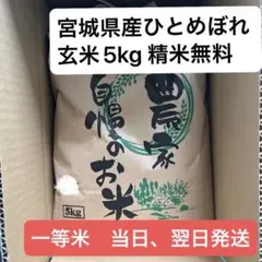 玄米5キロ　精米無料　即購入可　本日〜明日発送！令和7年宮城県産ひとめぼれ一等米のサムネイル