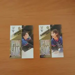 PFUブルーキャッツ 川添美優 大熊紀妙 カード SVリーグ バレーボール