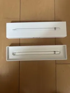 Apple Pencil (第1世代) 専用ケース付き