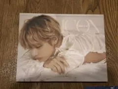 VICON 「a magazine about V」Dタイプ　DICON テテ