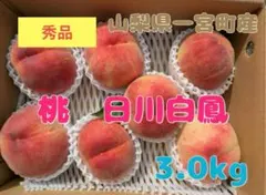 山梨県一宮町産 桃 日川白鳳 秀品 3.0kgのサムネイル