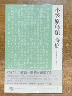 Item thumbnail for item 84e807b9-11ca-46cb-a3ad-f5e099f21248