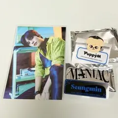 スキズ  ネームバッチ&ポストカード 【スンミン】