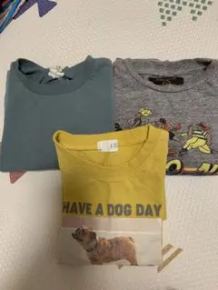 Tシャツ 3枚セット（イエロー・グレー・ブルー）
