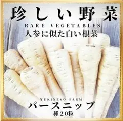 Baba様 リクエスト 3点 まとめ商品