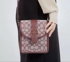 送料無料！　新品未使用品　COACH ショルダーバッグ ブラウン/グレー