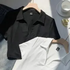 半袖　Tシャツ　ポロシャツ　ベージュ　L シーイン　クロップド　ショート丈