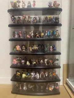 ワンピの実　まとめ売り