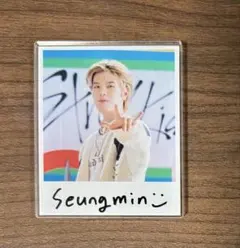 Stray Kids スンミン SKZ TOY WORLD マグネット