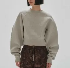 限定値下げトゥデイフル TODAYFUL Compact Raglan Knitのサムネイル